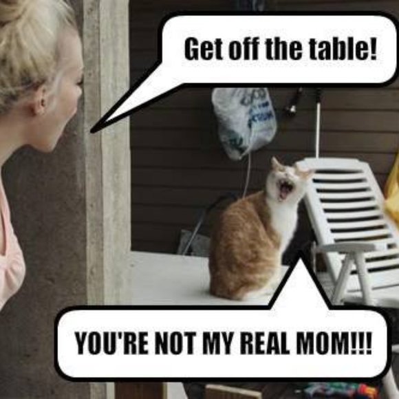 😁 Funnies to Bring a Laugh and Joy to your Day! 😁 - Picture 4 of 15